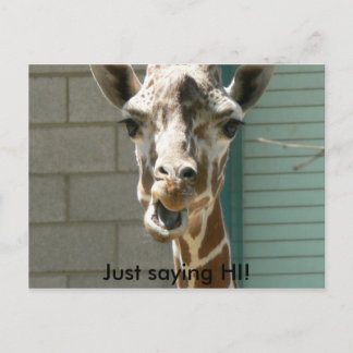 Giraffe Postkarte