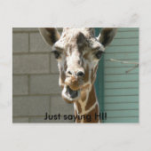 Giraffe Postkarte (Vorderseite)