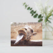 giraffe postkarte (Stehend Vorderseite)