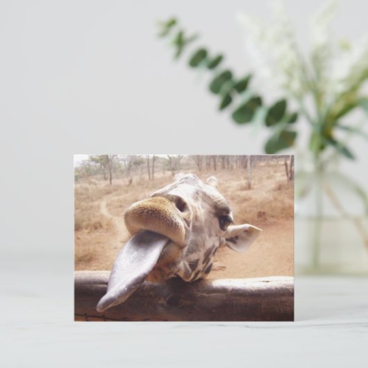 giraffe postkarte (Stehend Vorderseite)