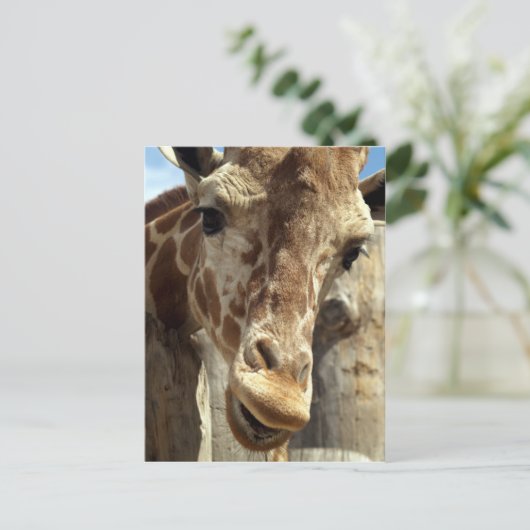 Giraffe Postkarte (Stehend Vorderseite)