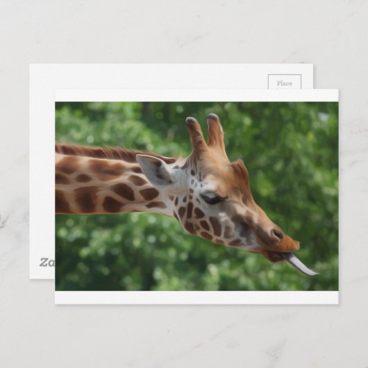 Giraffe Postkarte (Vorne/Hinten)