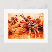 Giraffe Postkarte (Vorderseite)