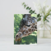 Giraffe Postkarte (Stehend Vorderseite)
