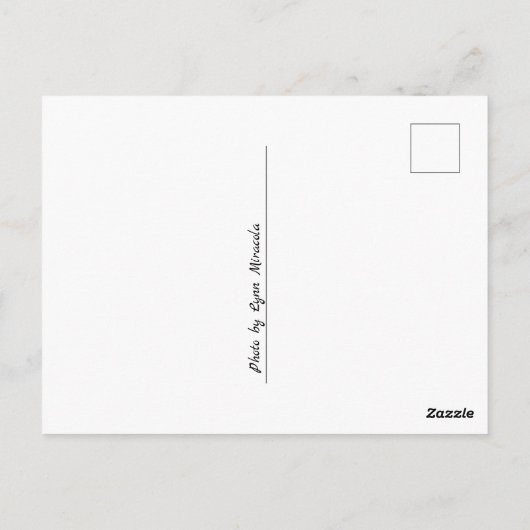 Giraffe Postkarte (Rückseite)