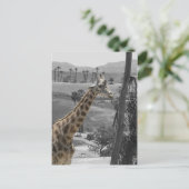 Giraffe Postkarte (Stehend Vorderseite)