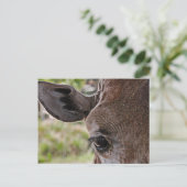 Giraffe Postkarte (Stehend Vorderseite)