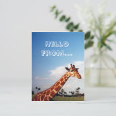Giraffe Postkarte (Stehend Vorderseite)