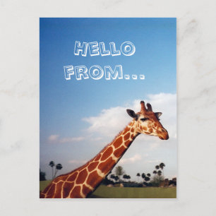 Giraffe Postkarte