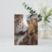 Giraffe Postkarte (Stehend Vorderseite)