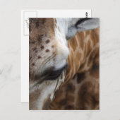 Giraffe Postkarte (Vorne/Hinten)