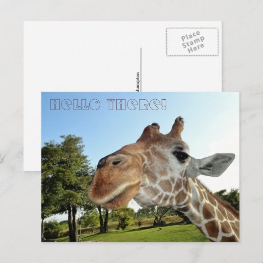 Giraffe Postkarte / Hallo da! (Vorne/Hinten)