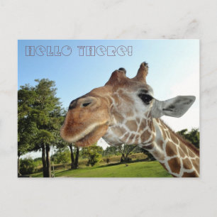 Giraffe Postkarte / Hallo da!