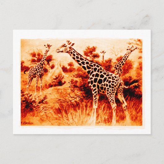 Giraffe-Postkarte Postkarte (Vorderseite)