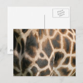Giraffe Print Pattern Postcard Postkarte (Vorne/Hinten)