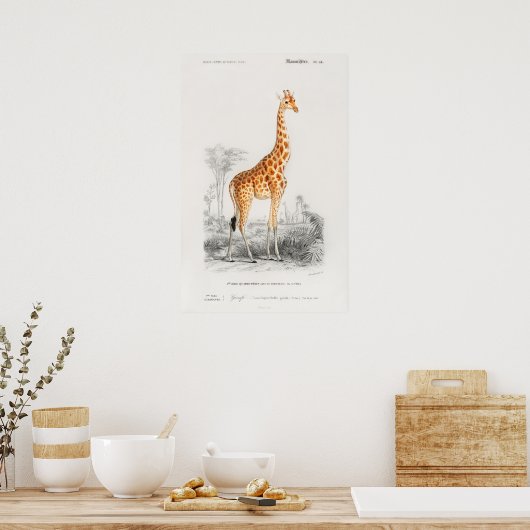 Giraffe Print Poster (Küche)