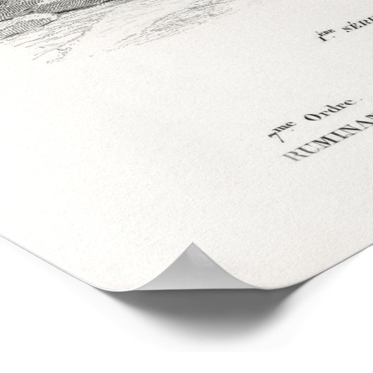 Giraffe Print Poster (Ecke)