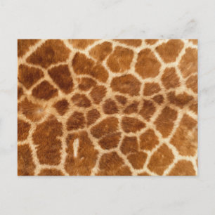 Giraffe Print Postkarte