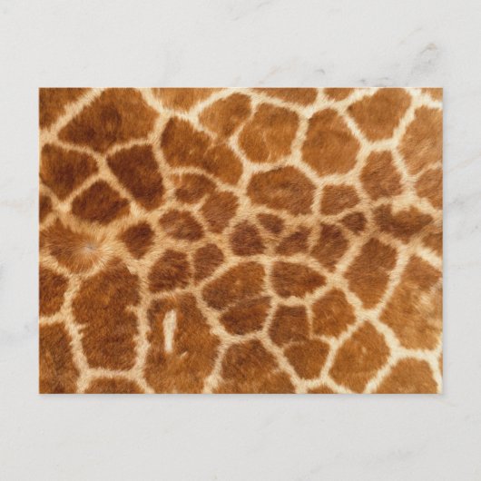 Giraffe Print Postkarte (Vorderseite)