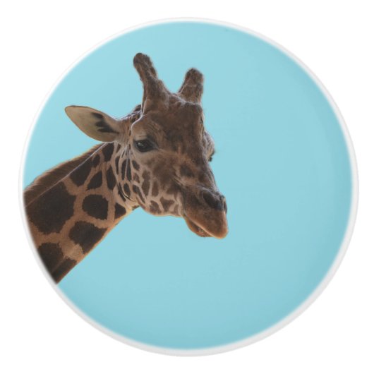 Giraffe pull knob keramikknauf (Vorderseite)