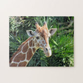 Giraffe Puzzle (Horizontal)