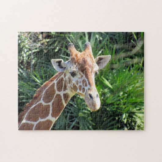 Giraffe Puzzle (Horizontal)