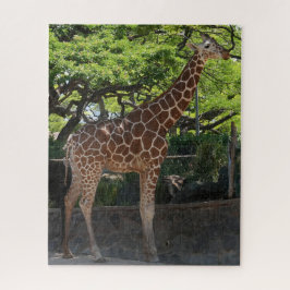Giraffe Puzzle