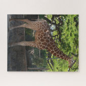 Giraffe Puzzle (Horizontal)