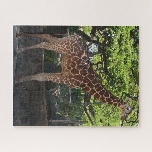 Giraffe Puzzle (Horizontal)