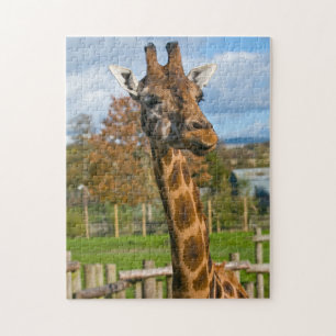 Giraffe-Puzzle Puzzle
