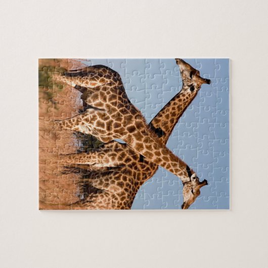 Giraffe-Puzzle Puzzle (Horizontal)