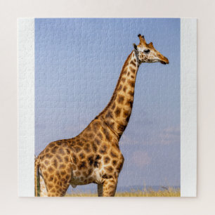 Giraffe-Puzzle Puzzle