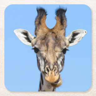 Giraffe Rechteckiger Pappuntersetzer