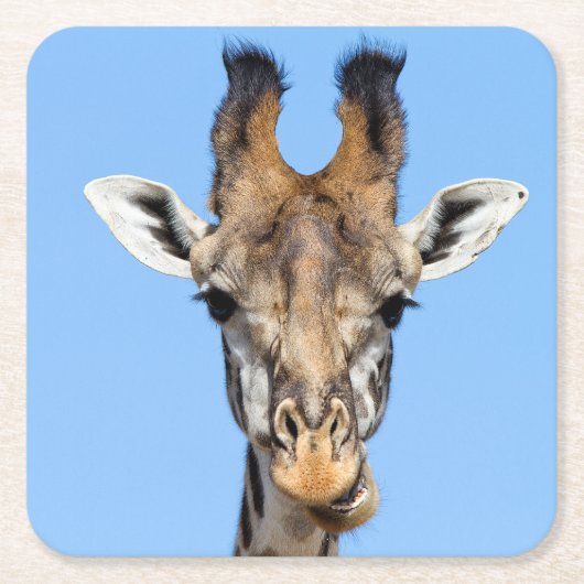 Giraffe Rechteckiger Pappuntersetzer (Vorderseite)