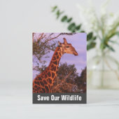 Giraffe Rette unsere Wildlife Postkarte (Stehend Vorderseite)