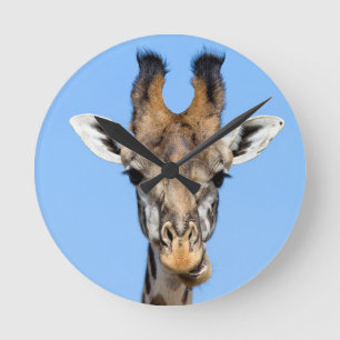 Giraffe Runde Wanduhr