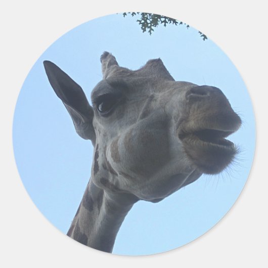 Giraffe Runder Aufkleber (Vorderseite)