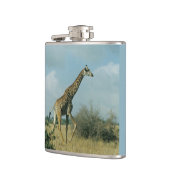 Giraffe Running Flachmann (Links)