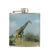 Giraffe Running Flachmann (Vorderseite)