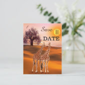 Giraffe Safari Zoo Save the Date Postkarte (Stehend Vorderseite)