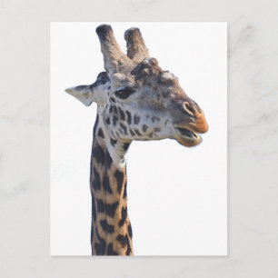 Giraffe sagt Hallo Tom Wurl Postkarte