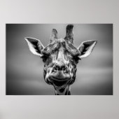 Giraffe, Schwarz-Weiß-Fotografie Kunst Poster (Vorne)