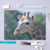 Giraffe Seidenpapier (Handwerk)