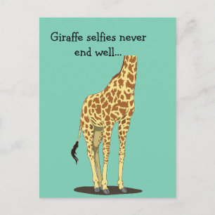 Giraffe selbt nie gut... postkarte