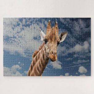 Giraffe selfie puzzle