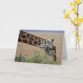 Giraffe, Serengeti Karte (Gelbe Blume)