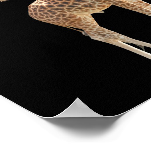 Giraffe: Sie sagten mir, meinen Kopf hoch zu halte Poster (Ecke)