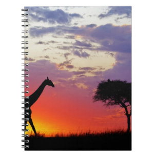 Giraffe, Silhouette bei Sonnenaufgang, Giraffa Notizblock
