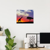 Giraffe, Silhouette bei Sonnenaufgang, Giraffa Poster (Heimbüro)