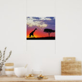 Giraffe, Silhouette bei Sonnenaufgang, Giraffa Poster (Küche)